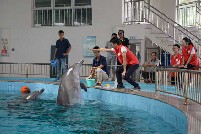 3象嶼集團海豚之友志愿者服務(wù)隊(配新起點4美麗)小.jpg
